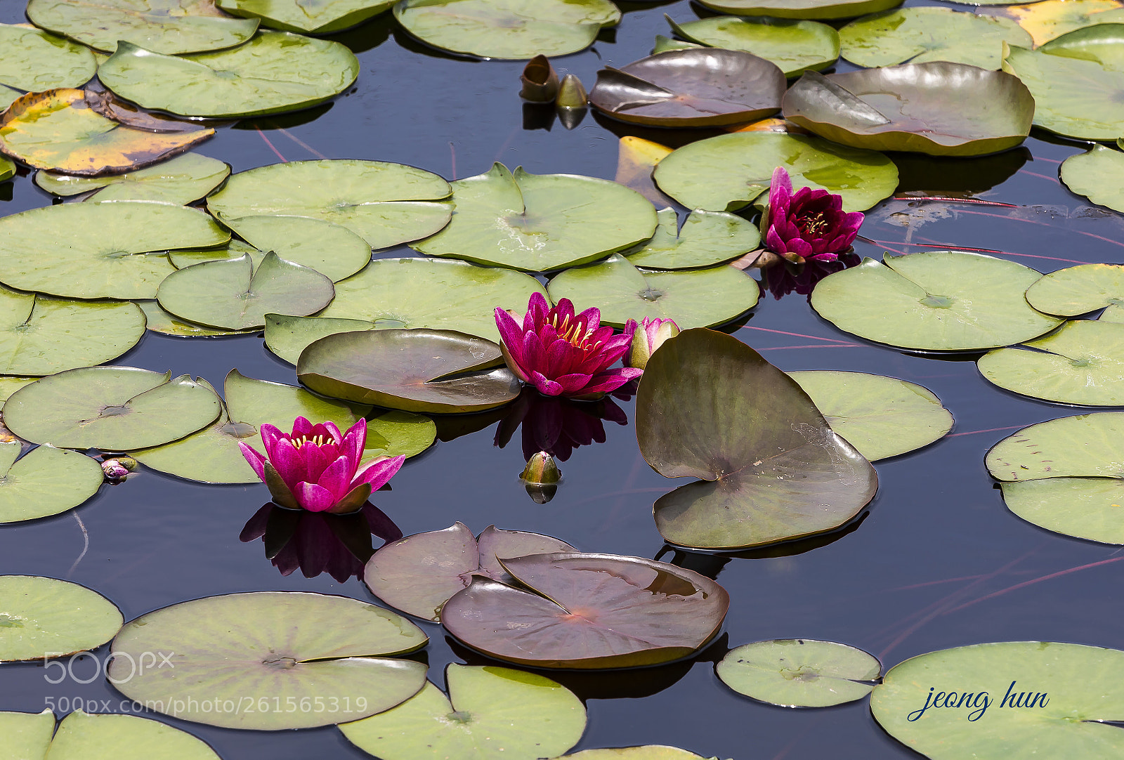 Canon EOS 5D Mark IV sample photo. Untitled photography