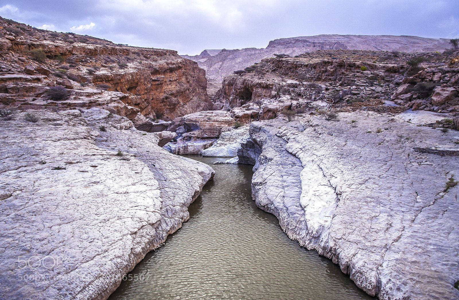 Nikon D90 sample photo. Exploring sultanate of oman photography