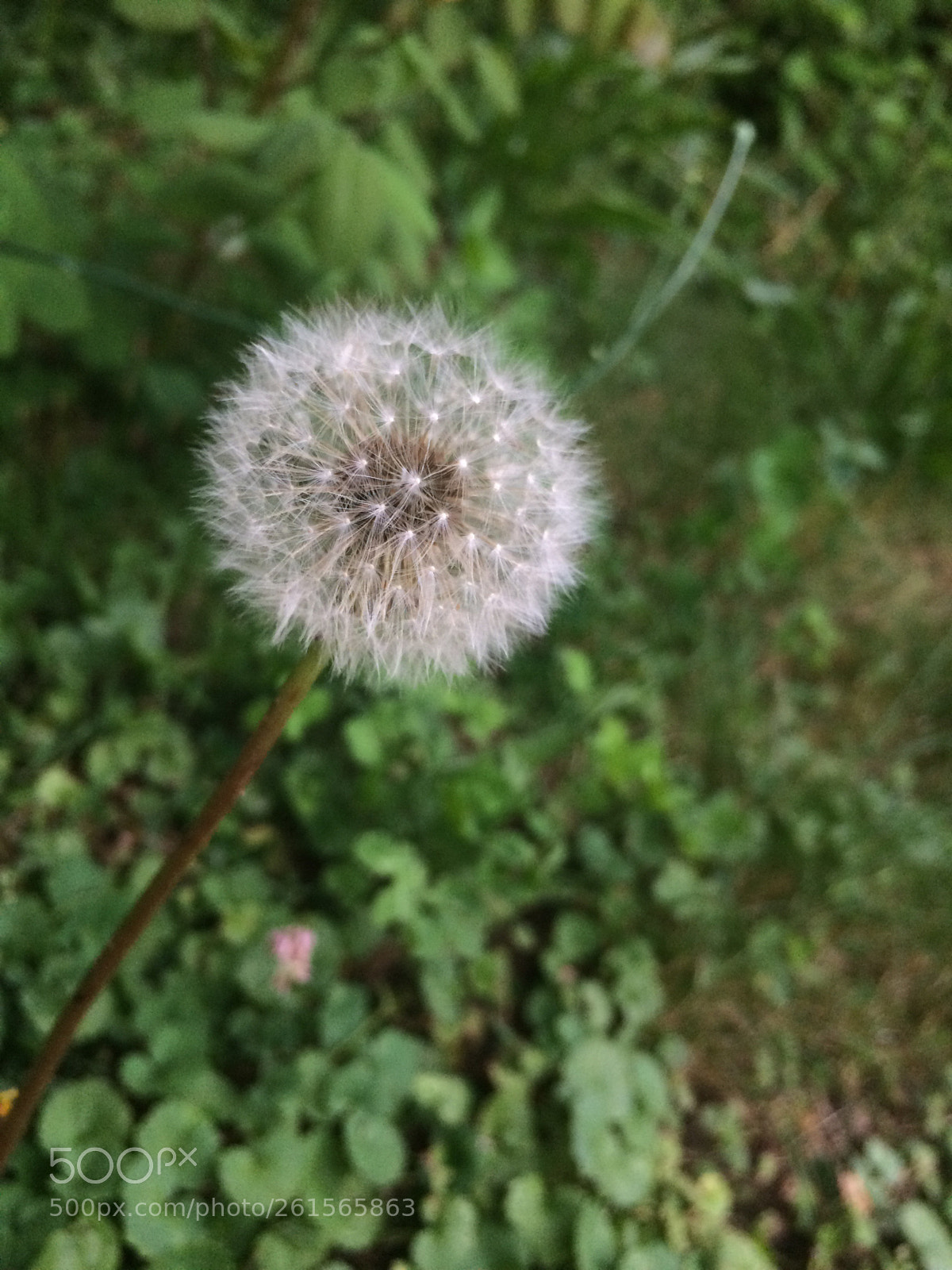 Apple iPhone 5s sample photo. Untitled photography