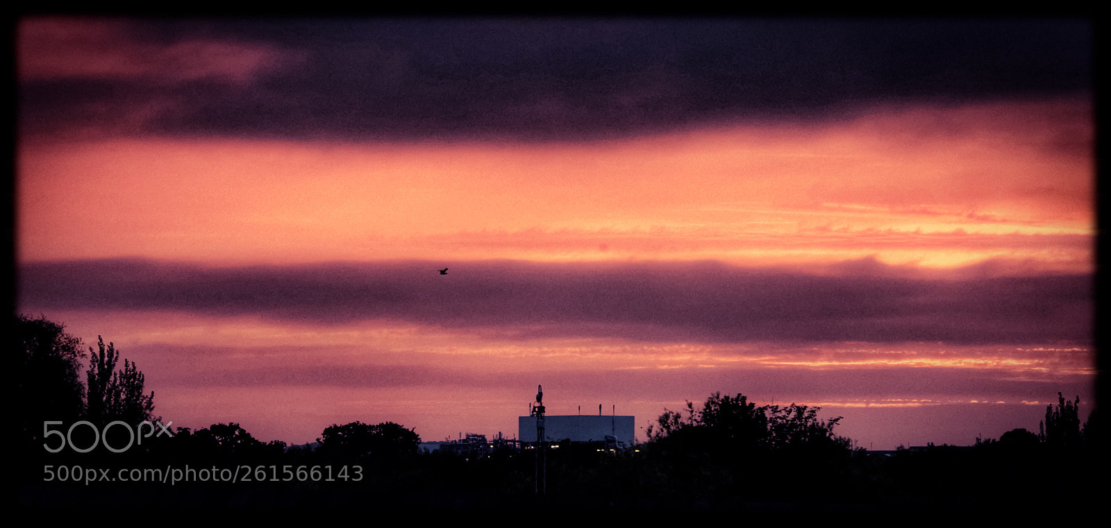 Nikon D3400 sample photo. Sunset  photography