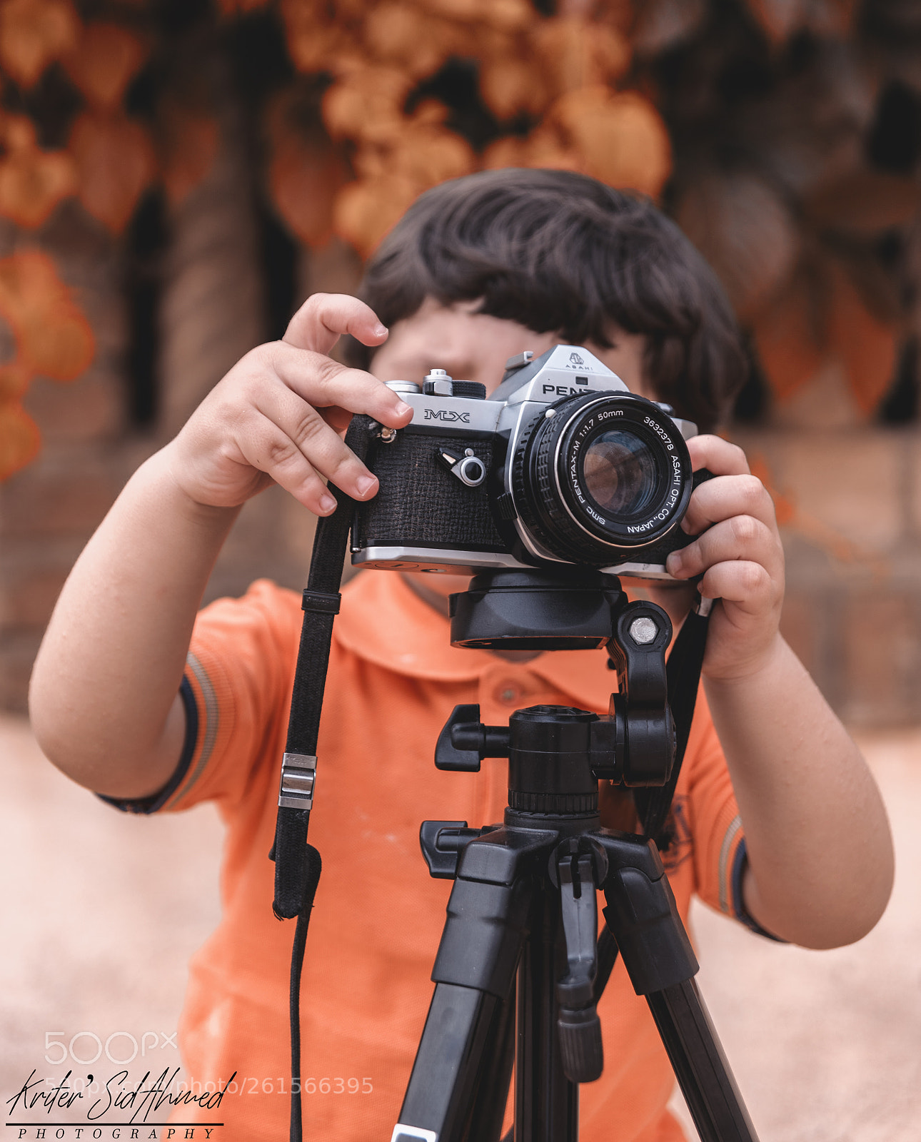 Nikon D750 sample photo. Le petit photographe photography