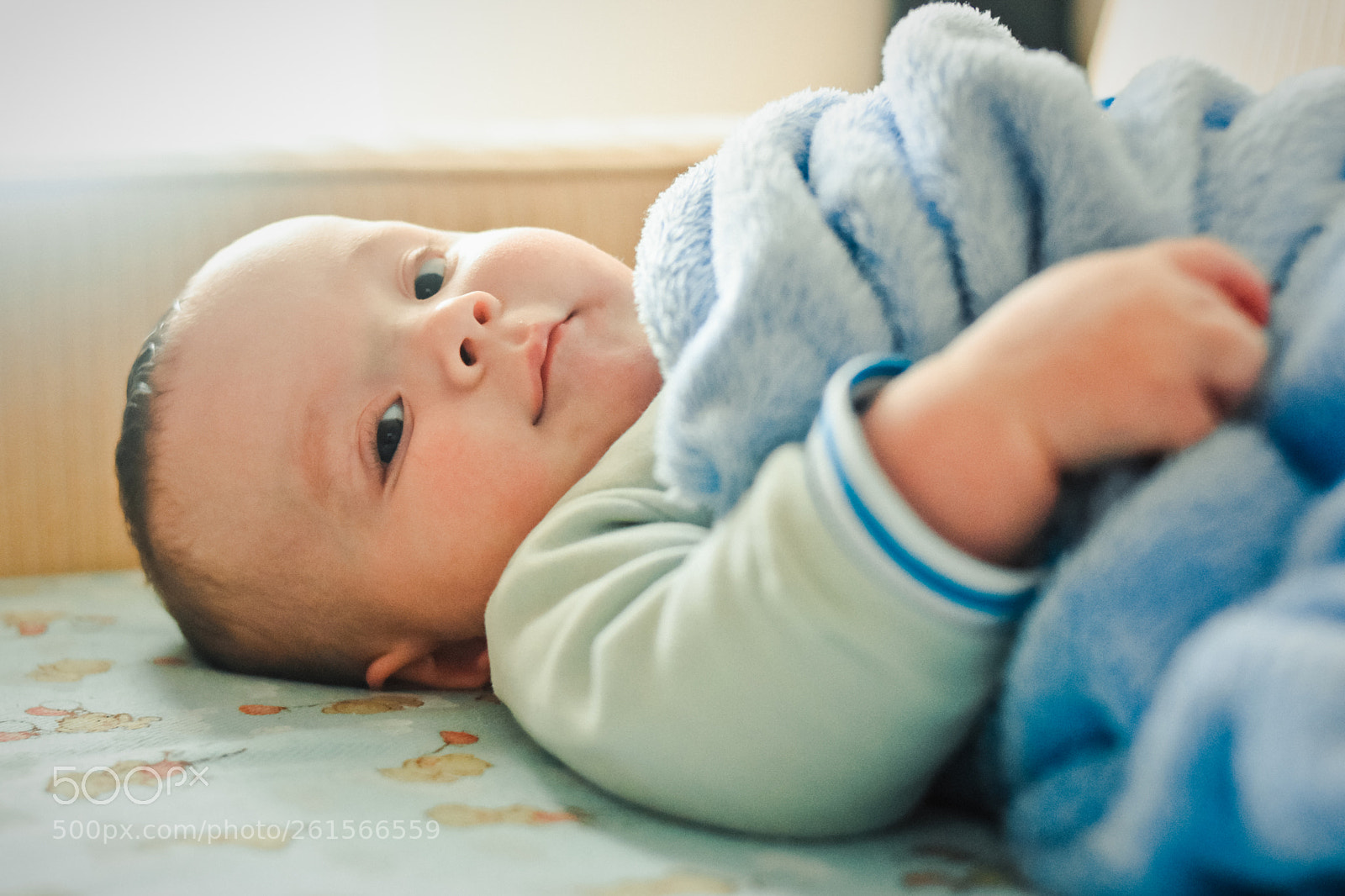 Nikon D5600 sample photo. Cochilando no sofá photography
