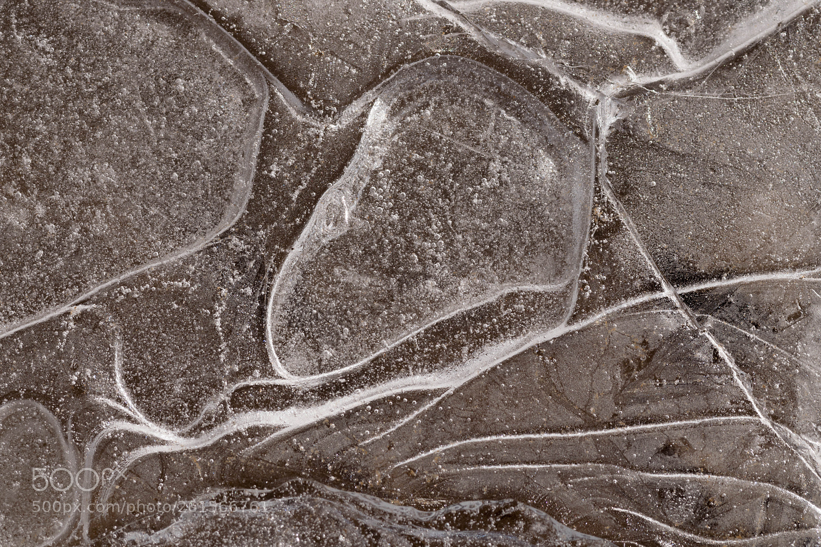 Nikon D3300 sample photo. Hielo / detalles photography