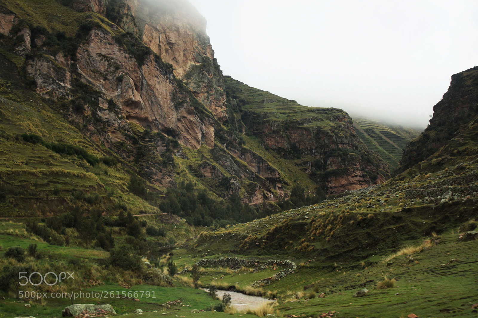 Canon EOS 50D sample photo. Green mist photography