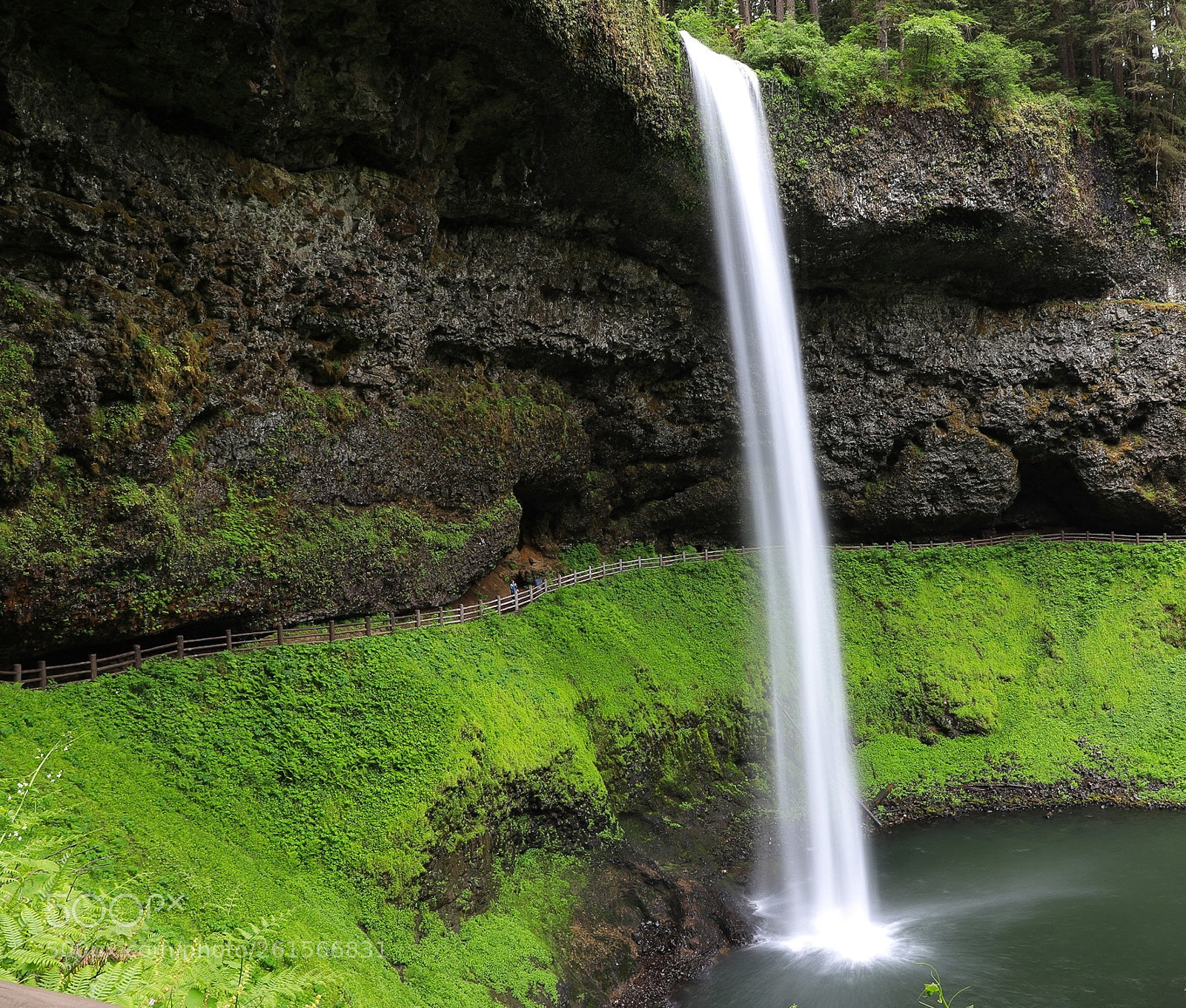 Canon EOS 5D Mark IV sample photo. Silver falls photography