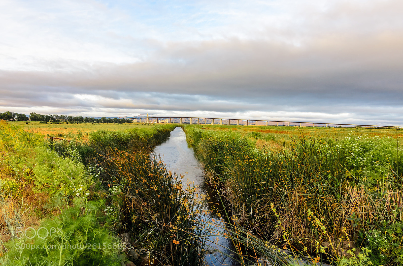 Nikon D7000 sample photo. Sherman island and antioch photography