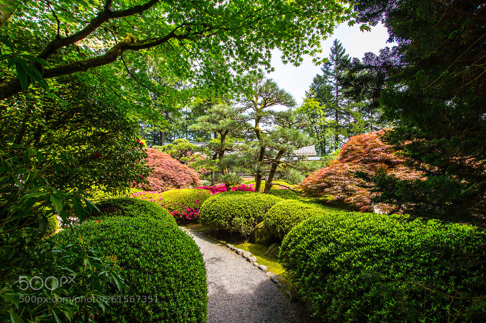 Canon EOS 60D sample photo. Quite path photography