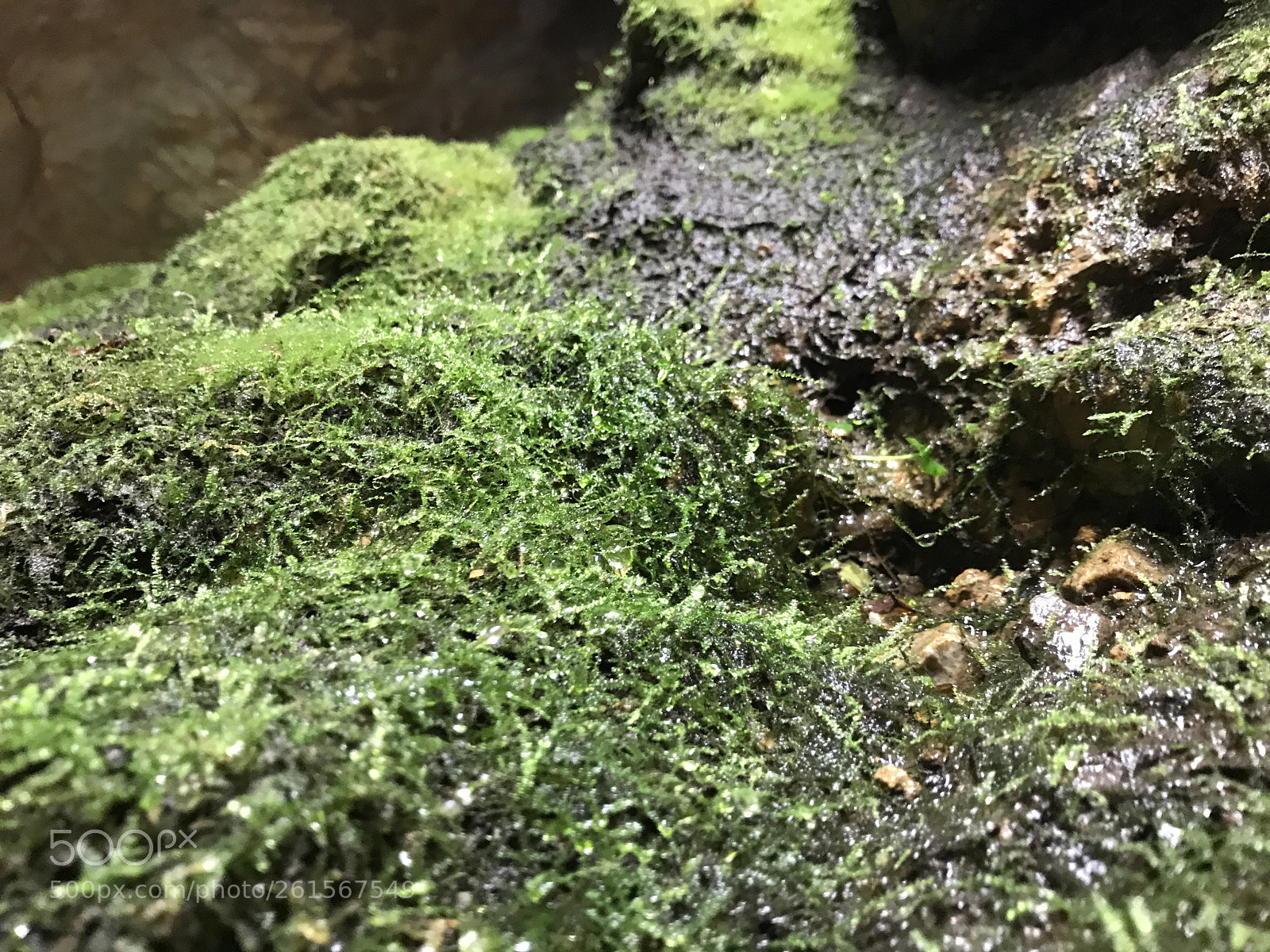 Apple iPhone 7 sample photo. Untitled photography