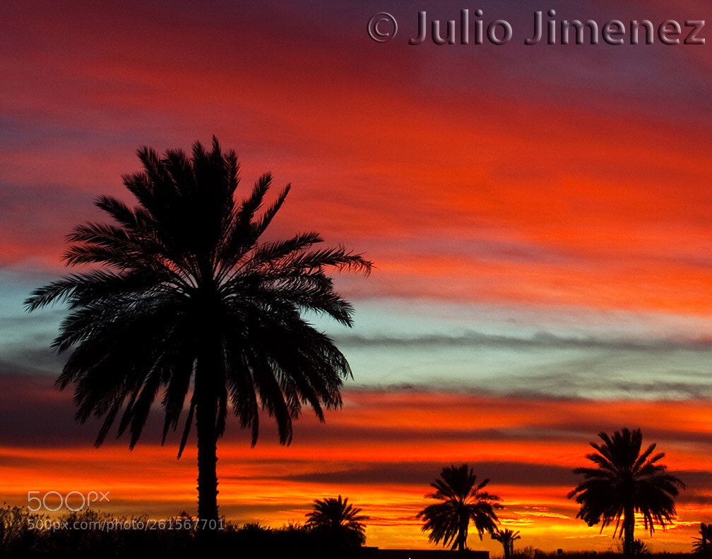 Canon EOS 40D sample photo. Painted skies photography