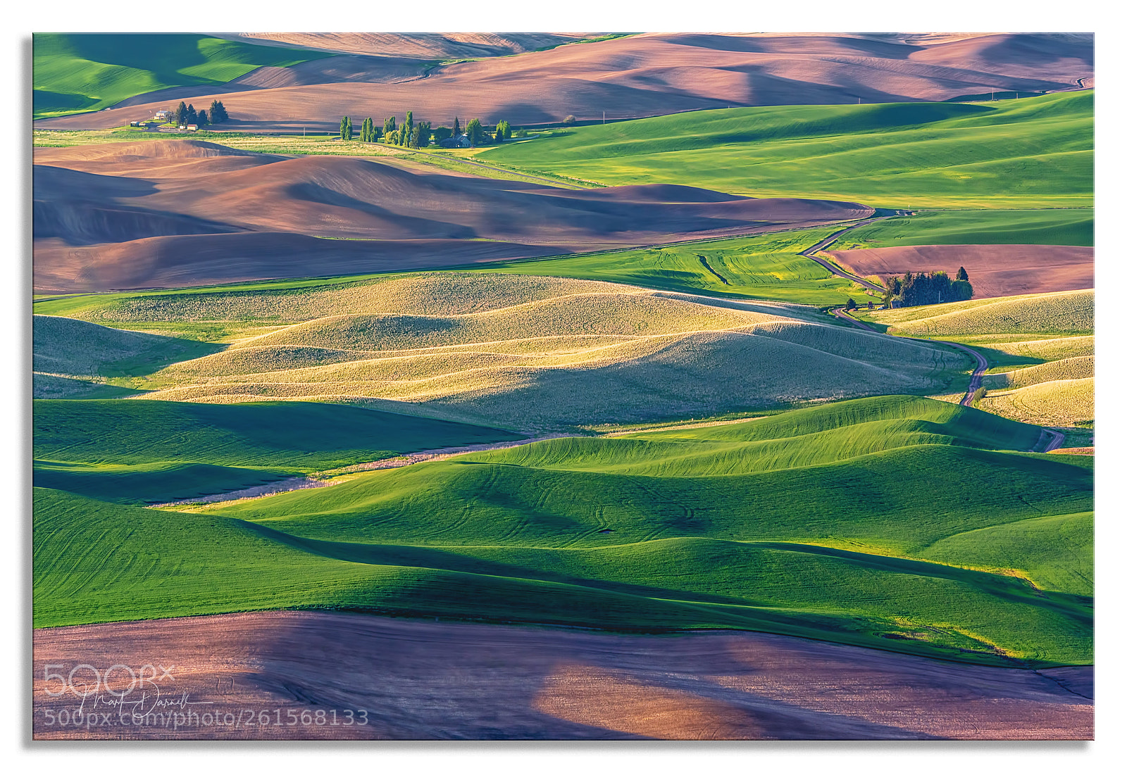 Sony a7R III sample photo. Palouse morning photography
