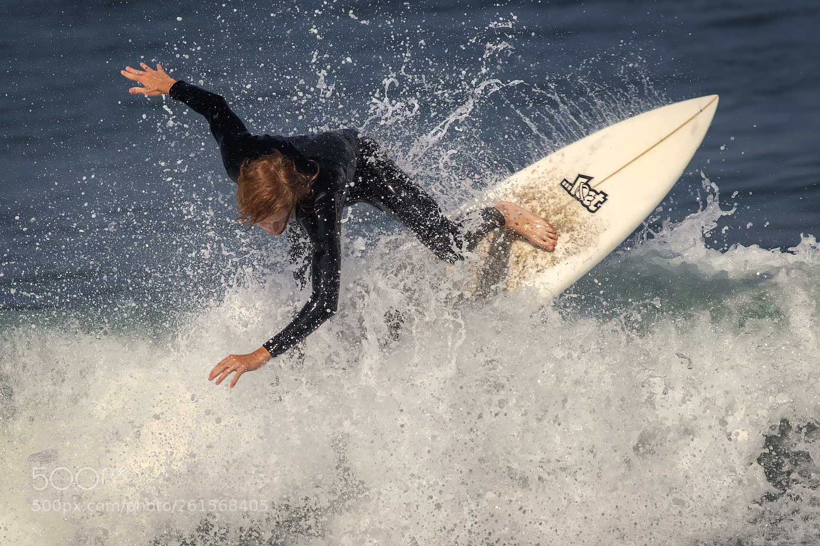 Canon EOS 7D Mark II sample photo. In a twist photography