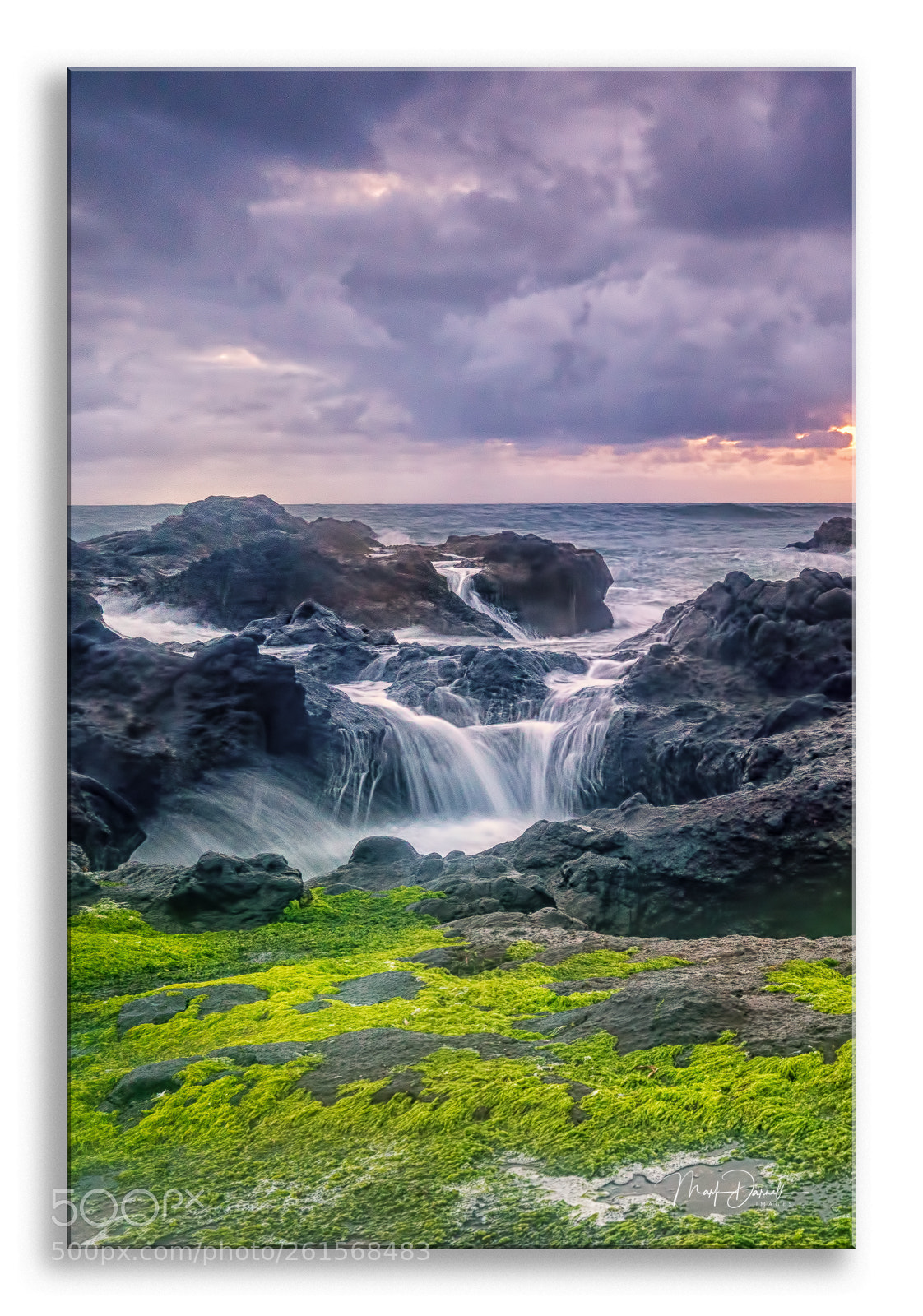 Sony a7R III sample photo. Nature at work photography
