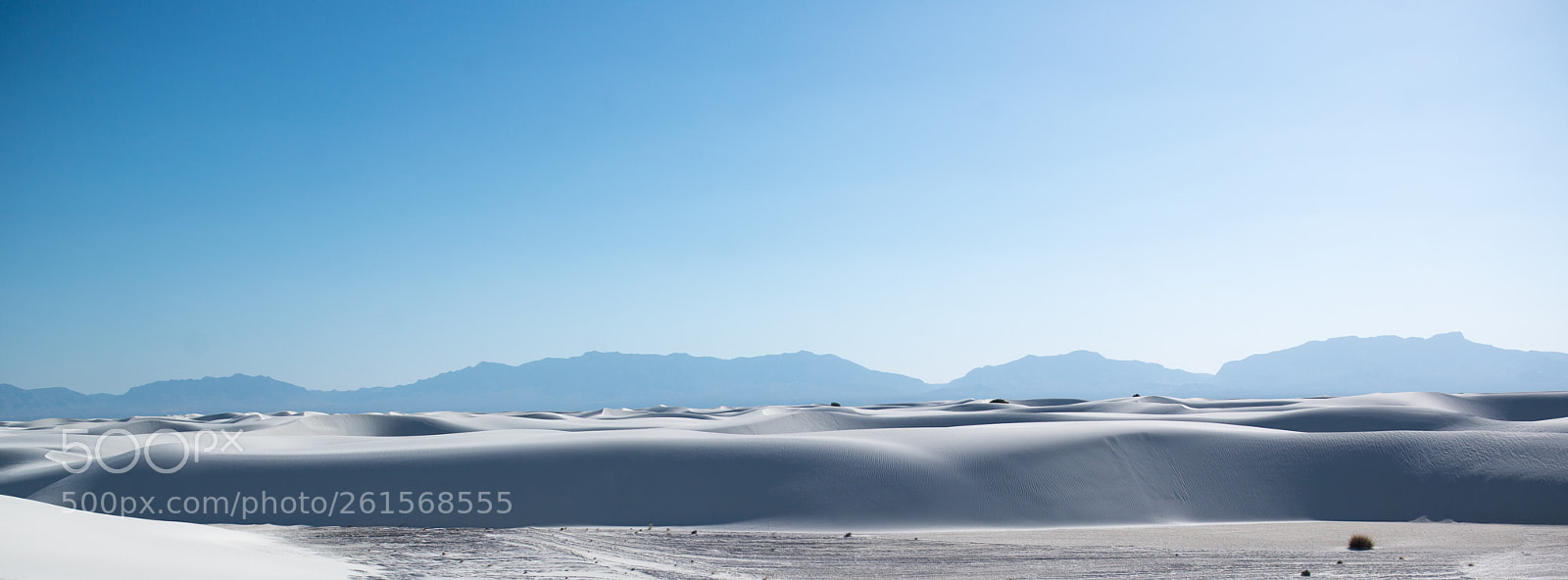 Nikon D800 sample photo. White land photography