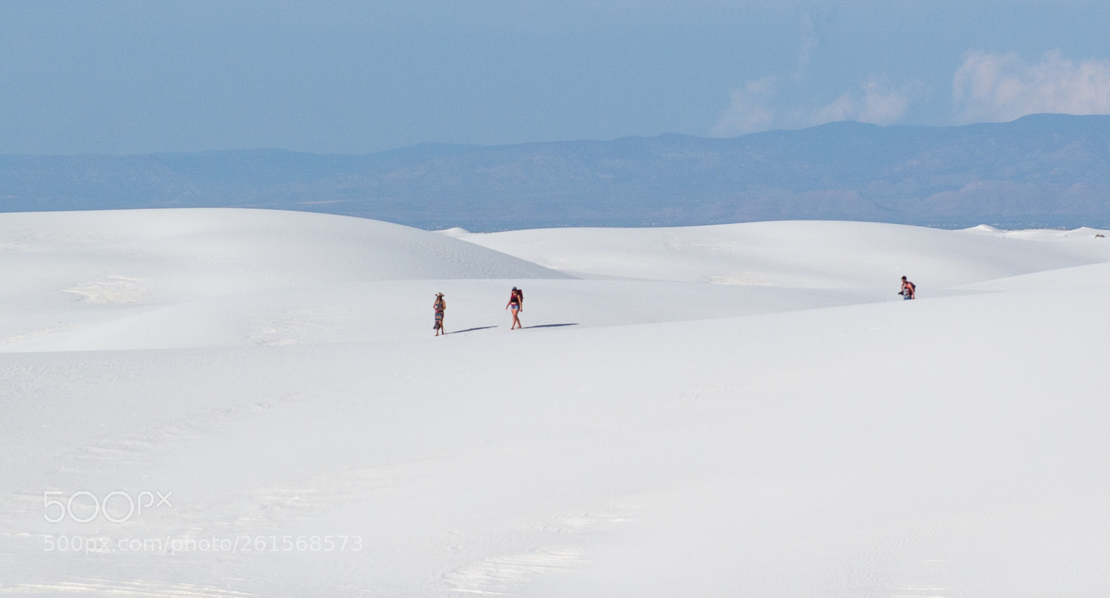 Nikon D800 sample photo. White land photography