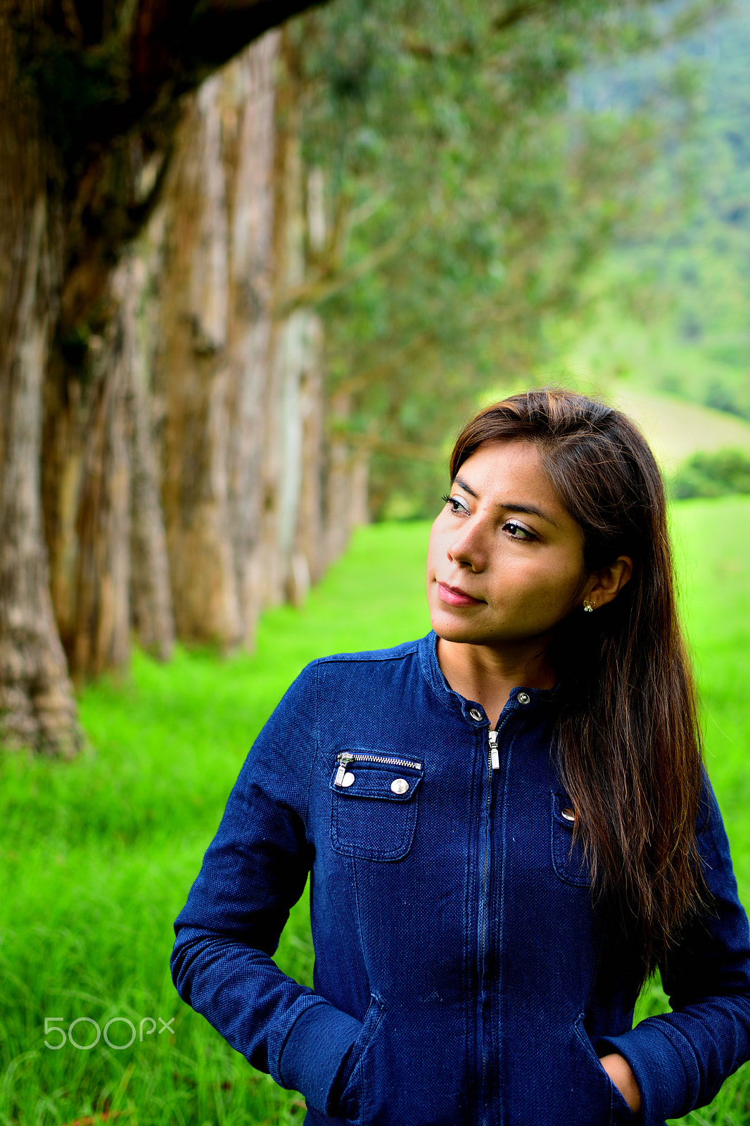 Nikon D5300 + Nikon AF-S DX Nikkor 35mm F1.8G sample photo. Cocora meadows photography