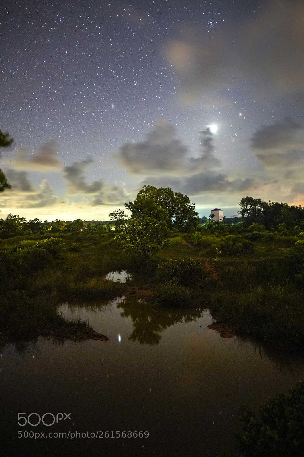 Sony a7R III sample photo. Night out in nature photography