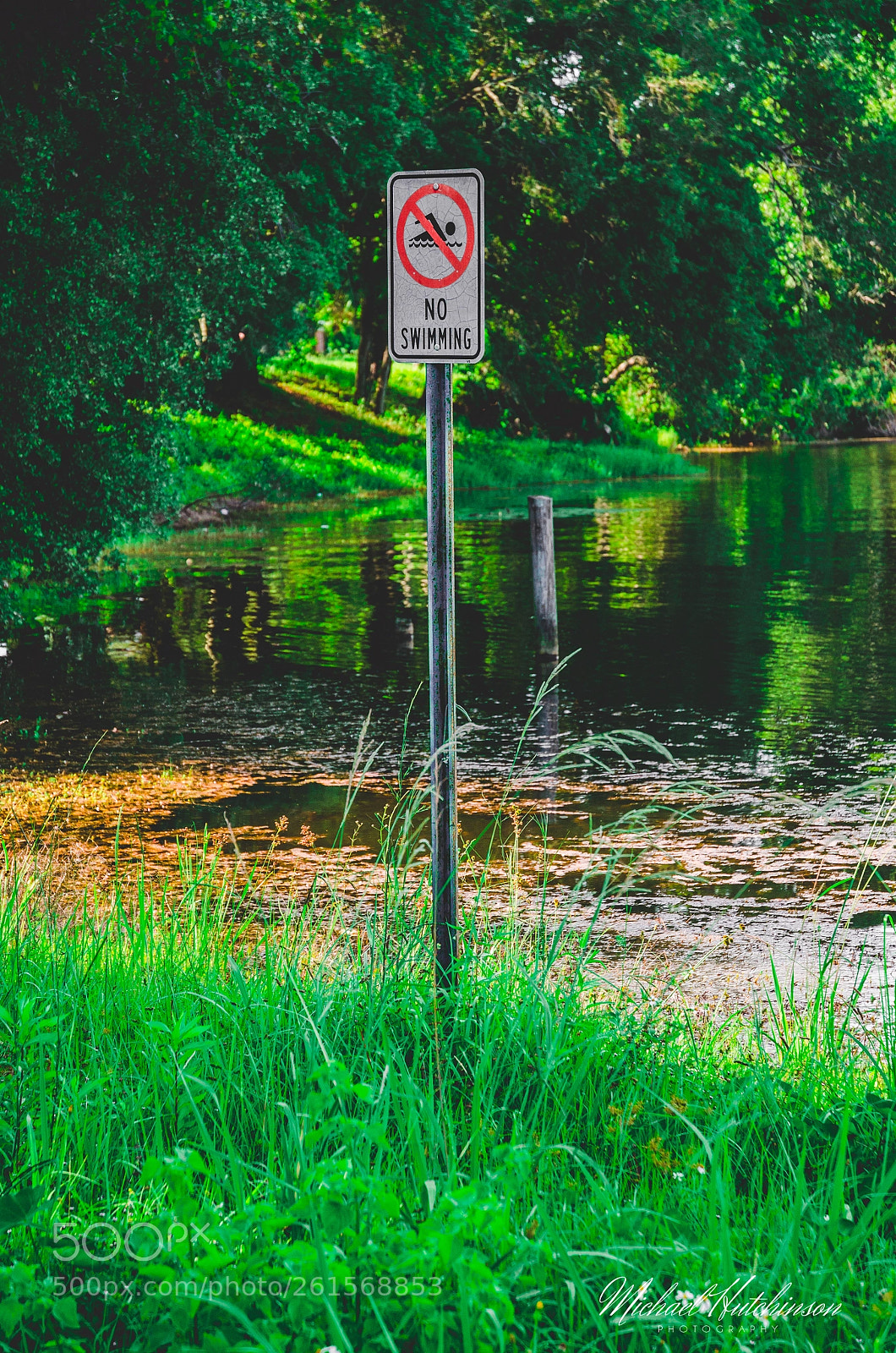 Nikon D7000 sample photo. No swimming photography