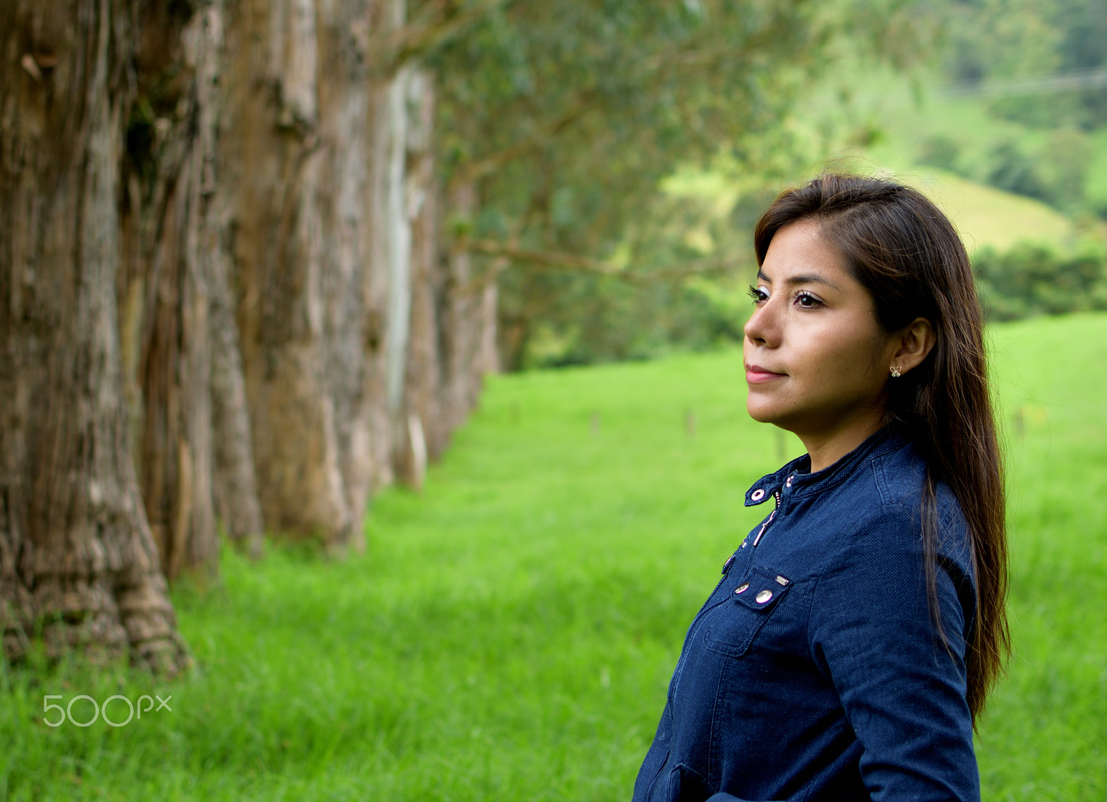 Nikon D5300 + Nikon AF-S DX Nikkor 35mm F1.8G sample photo. Cocora meadows photography