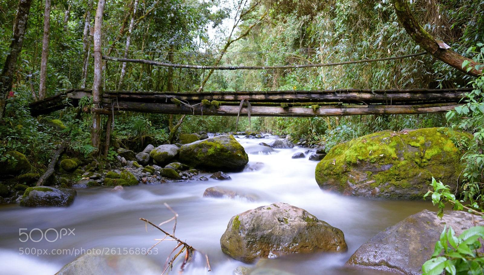 Nikon D5300 sample photo. Cocora meadows photography