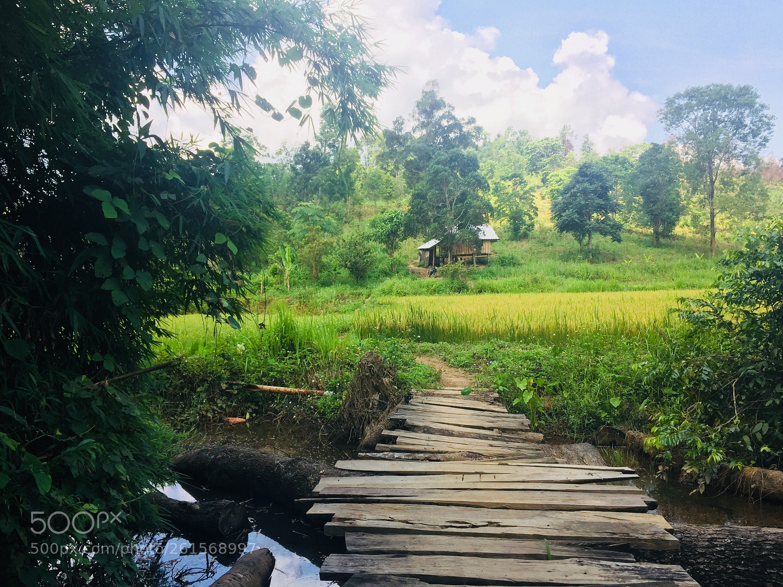 Apple iPhone 6 sample photo. Binh yên photography