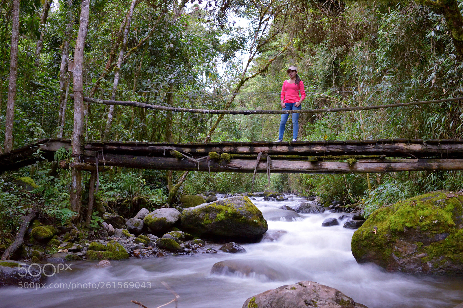 Nikon D5300 sample photo. Cocora meadows photography