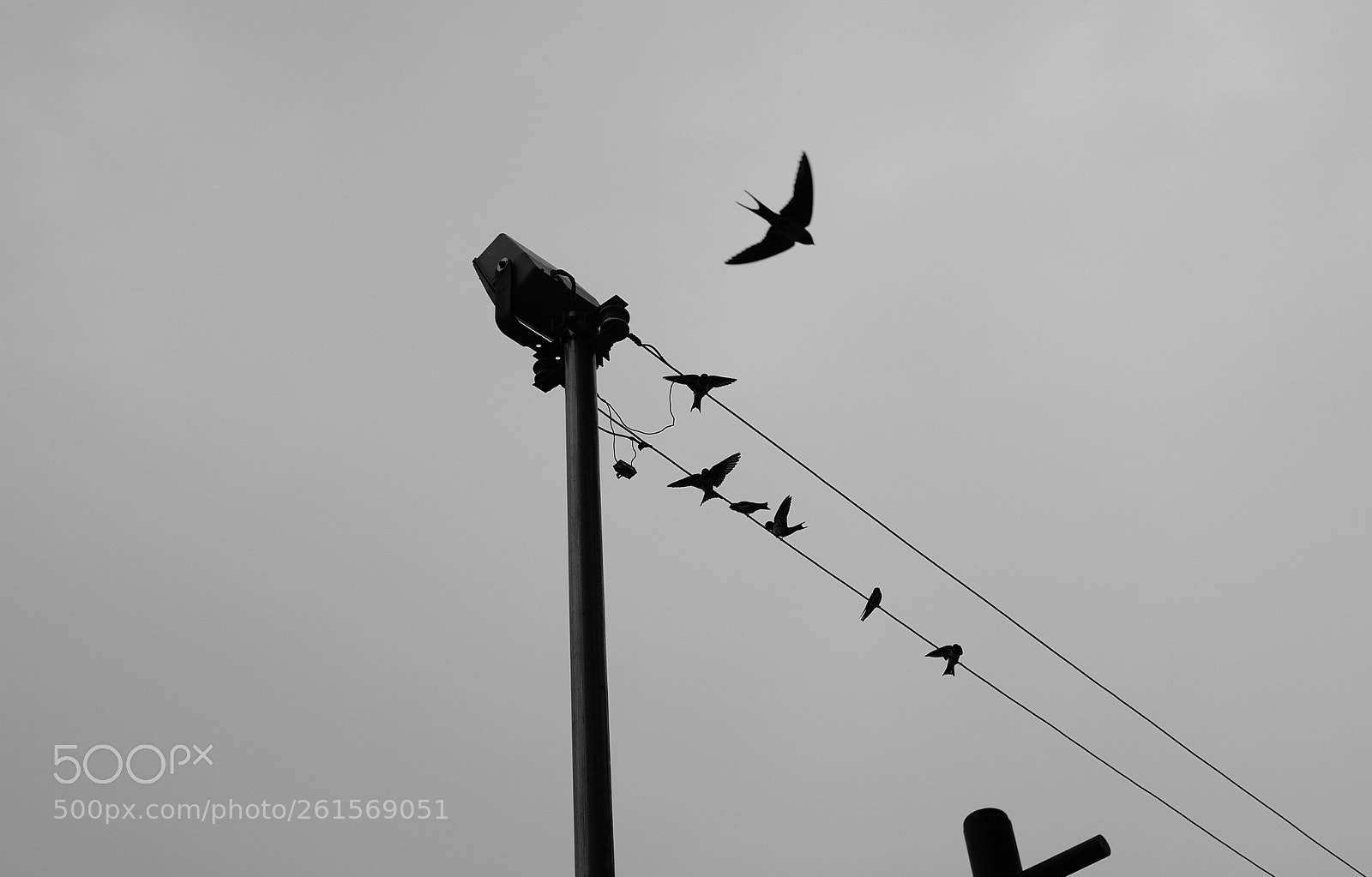 Leica Q (Typ 116) sample photo. Rain is coming photography