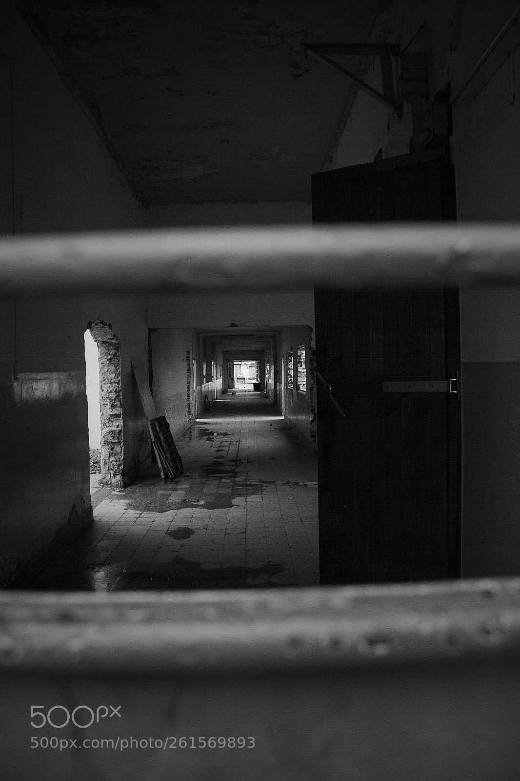 Canon EOS 7D sample photo. Mg photography