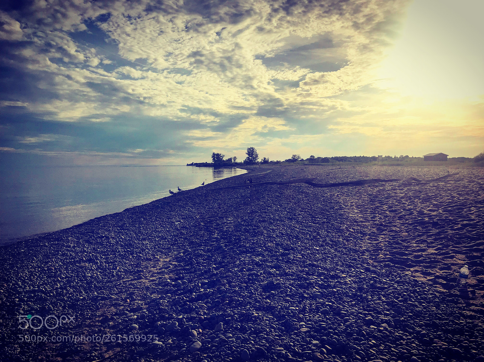 Apple iPhone 7 sample photo. Beach  photography
