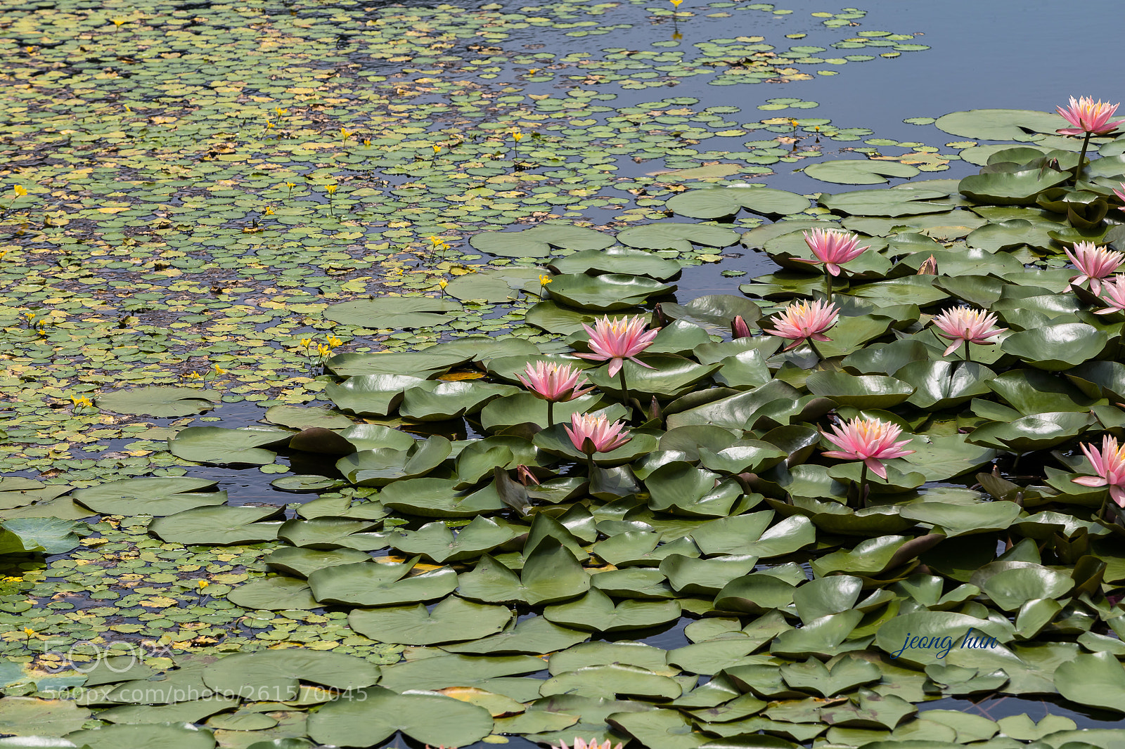 Canon EOS 5D Mark IV sample photo. Untitled photography