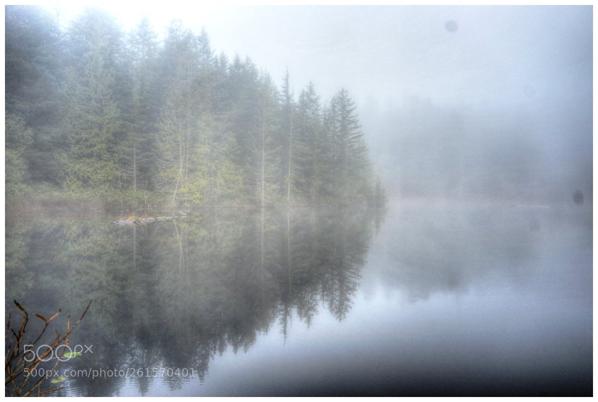 Sony a7 II sample photo. The fog photography