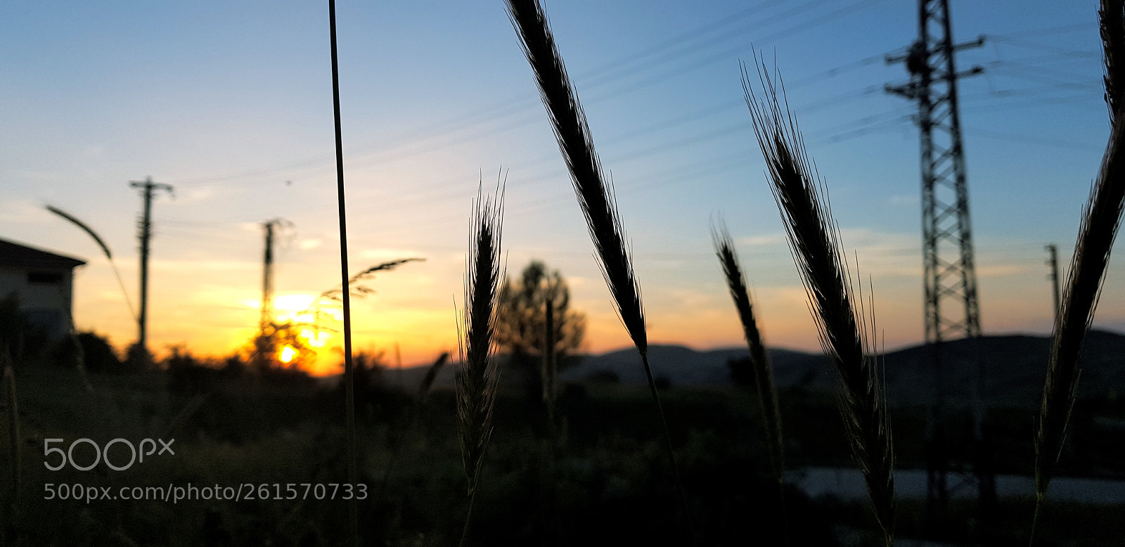 Samsung Galaxy S8 sample photo. Untitled photography