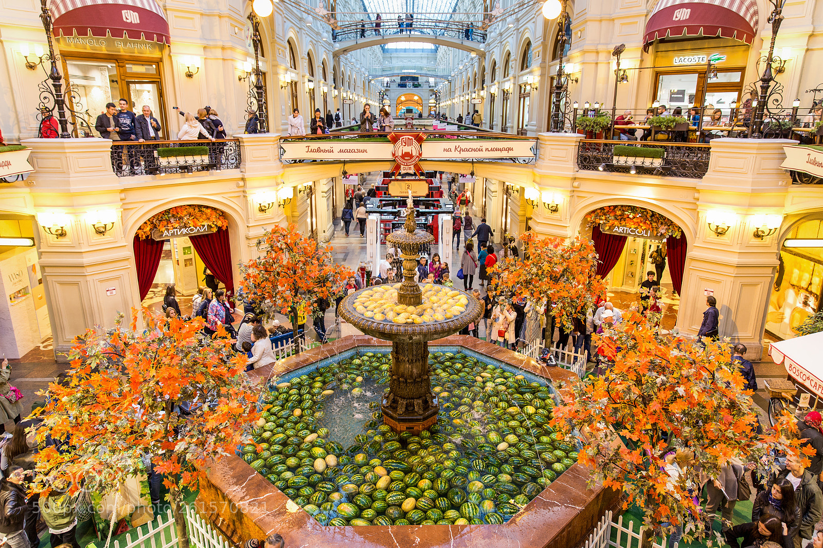 Canon EOS 6D sample photo. Fruit festival inside gum photography
