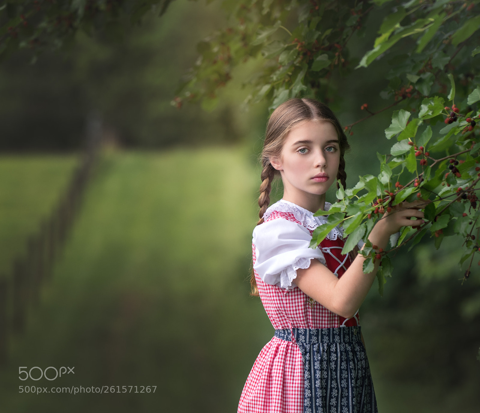 Nikon D750 sample photo. Mulberry bush photography