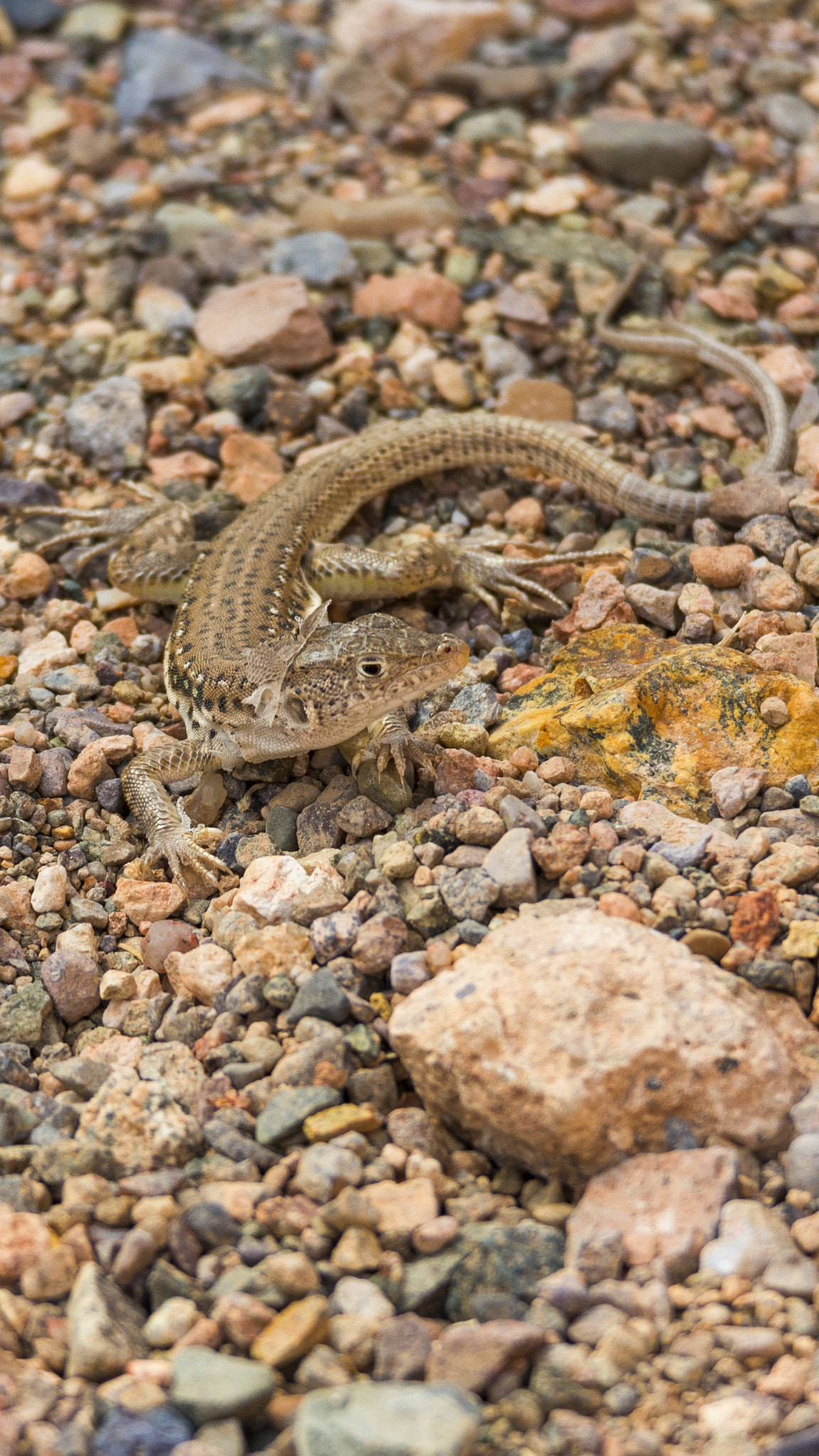 Samsung NX20 sample photo