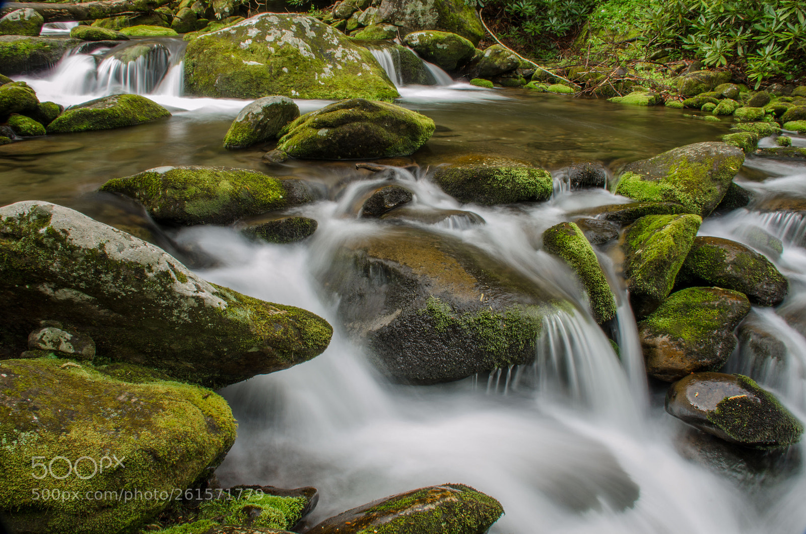Nikon D5100 sample photo. Tennessee flow photography