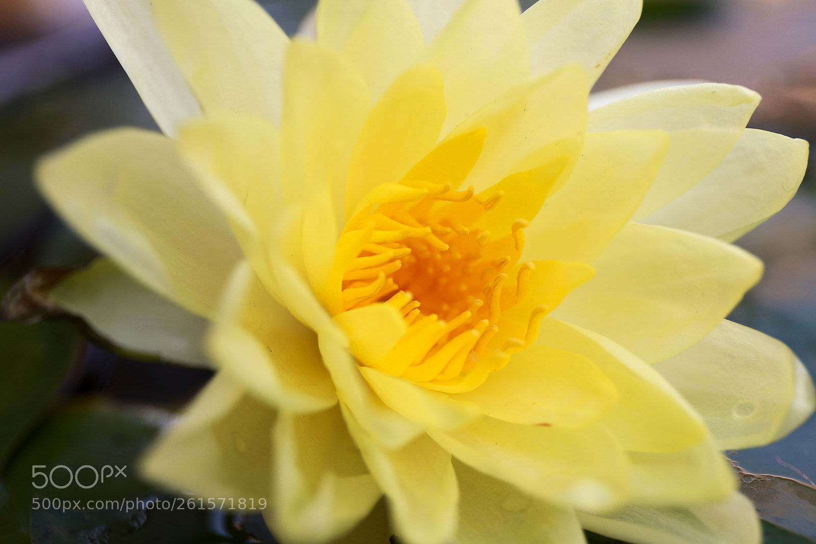 Canon EOS 6D sample photo. Img photography