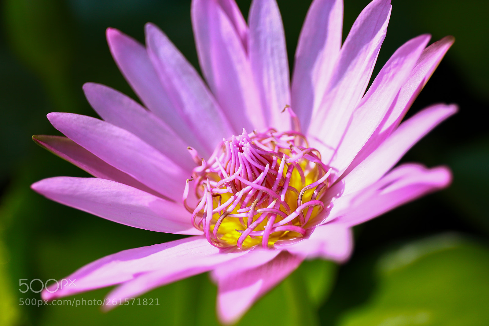 Canon EOS 6D sample photo. Img photography