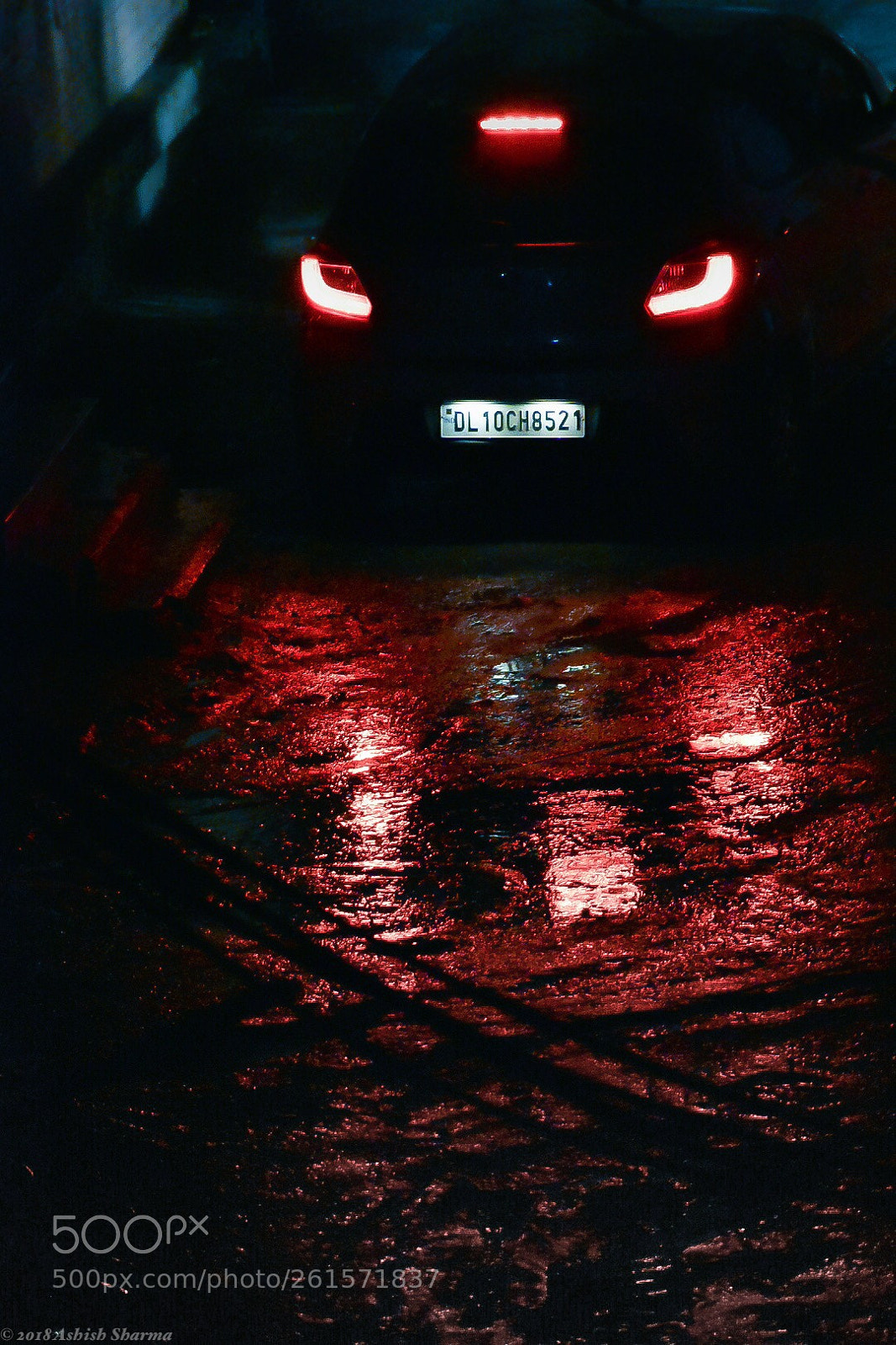 Nikon D5600 sample photo. Give me red photography