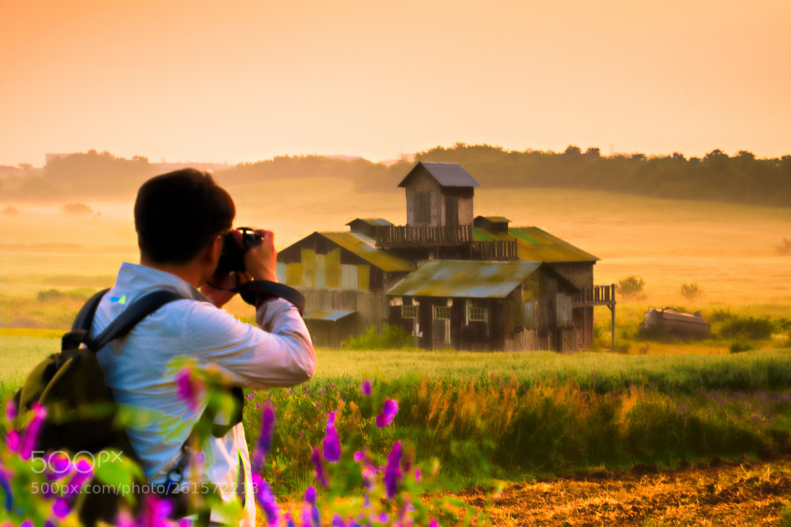 Nikon D500 sample photo. A meadow morning photography