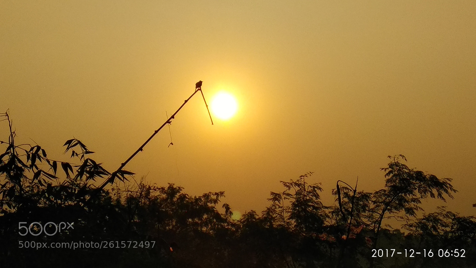 Xiaomi Redmi Note 4 sample photo. Golden hour photography