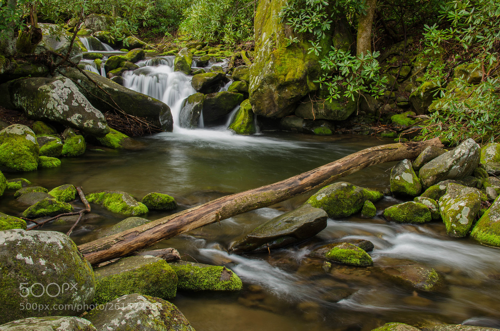 Nikon D5100 sample photo. Wood, water and stone photography