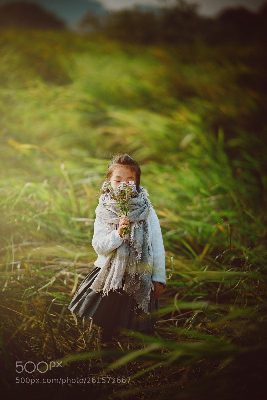 Nikon D810 sample photo. Untitled photography