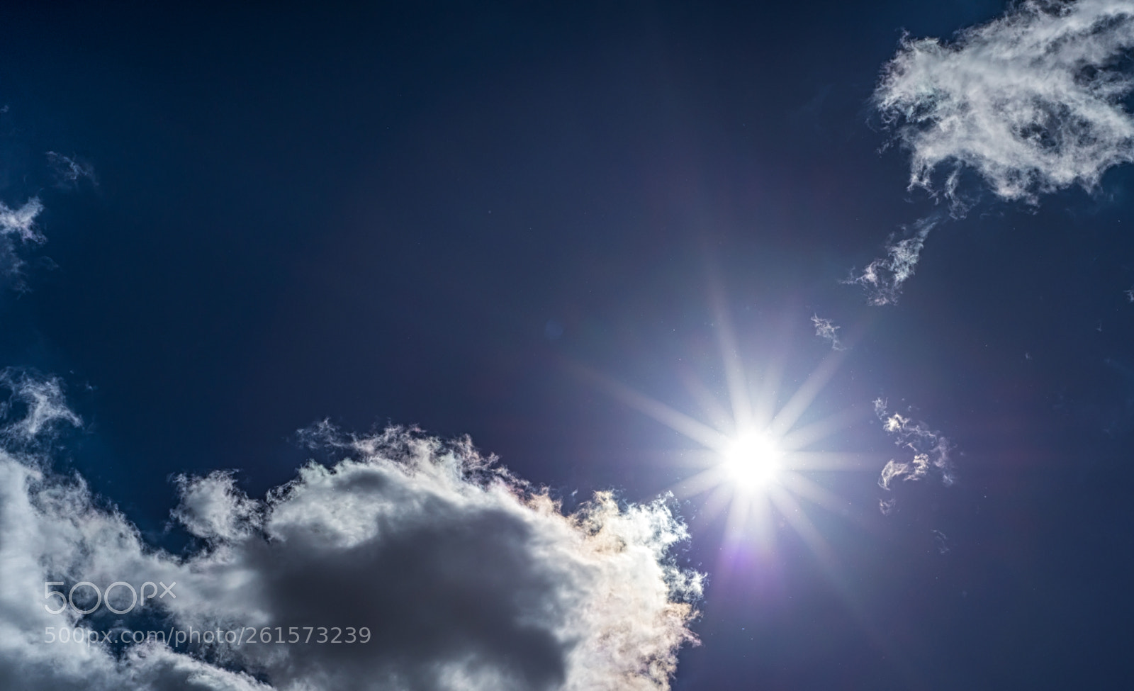 Nikon D610 sample photo. Sun flare photography