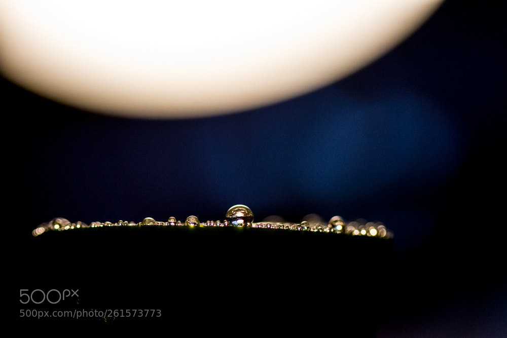 Canon EOS 7D sample photo. Supermoon over an alien photography