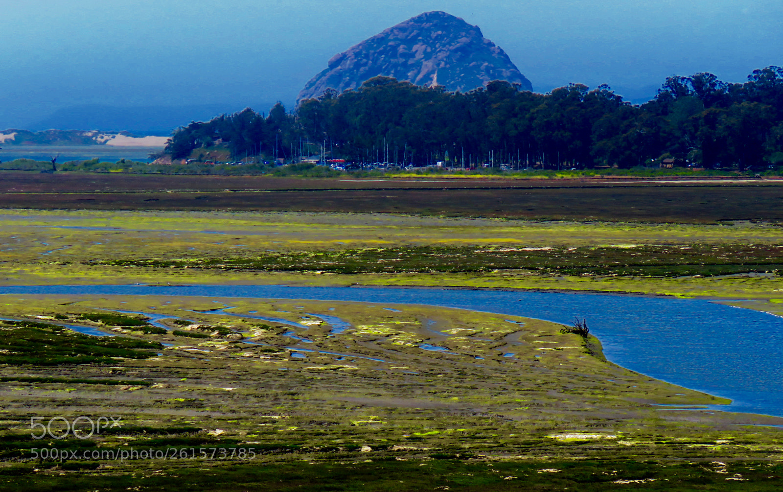 Canon PowerShot SX60 HS sample photo. Estuary, morro rock photography