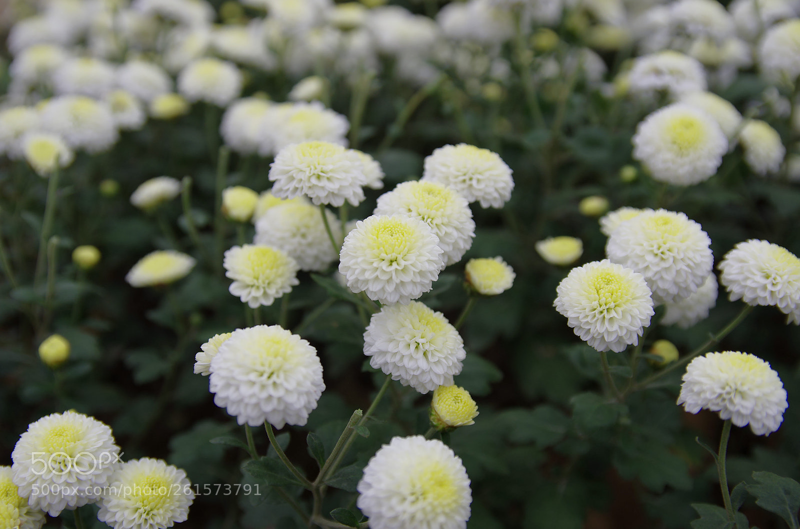 Pentax K-5 sample photo. The view from my photography