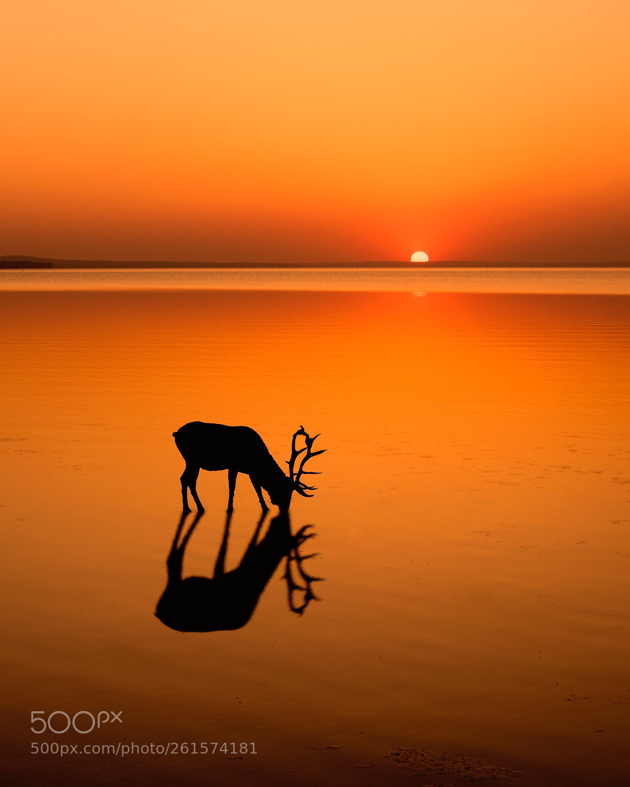 Nikon D5300 sample photo. Sunset photography