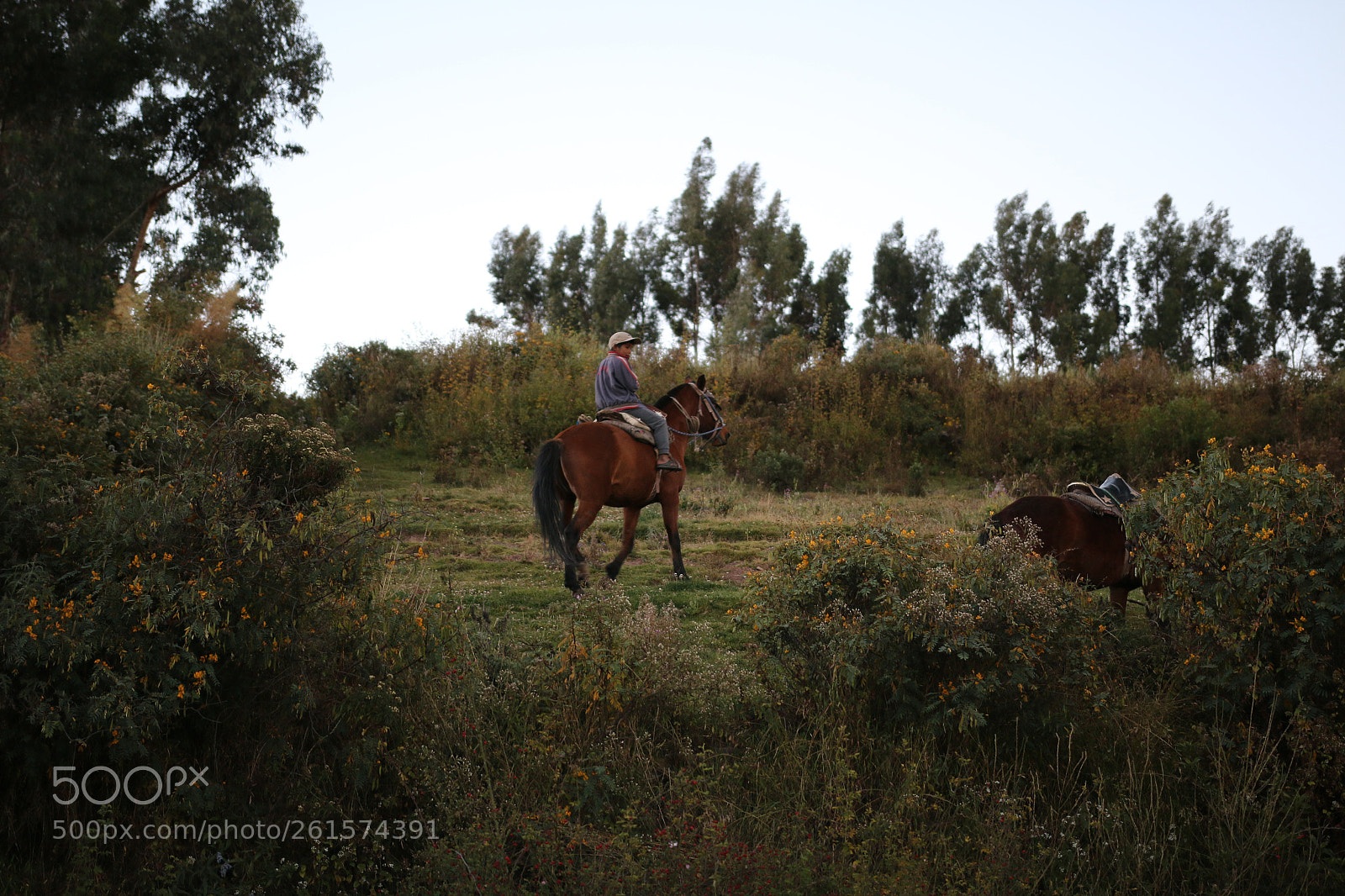 Canon EOS 70D sample photo. Lad photography
