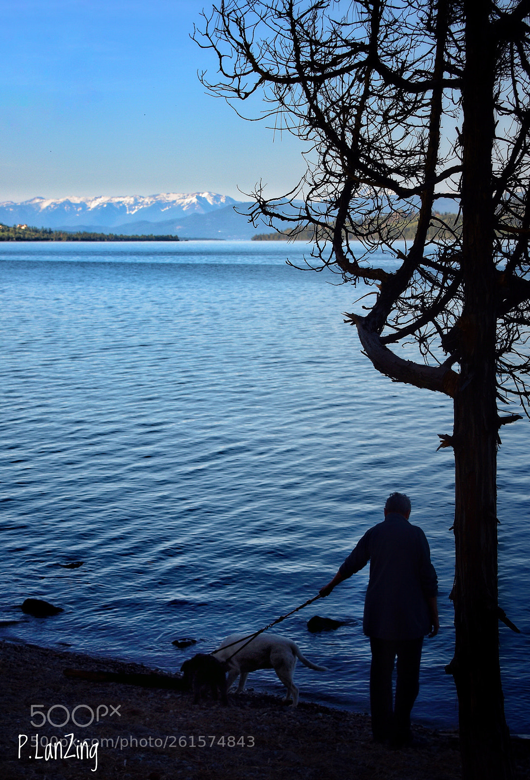 Nikon D810 sample photo. Lakeside, montana photography