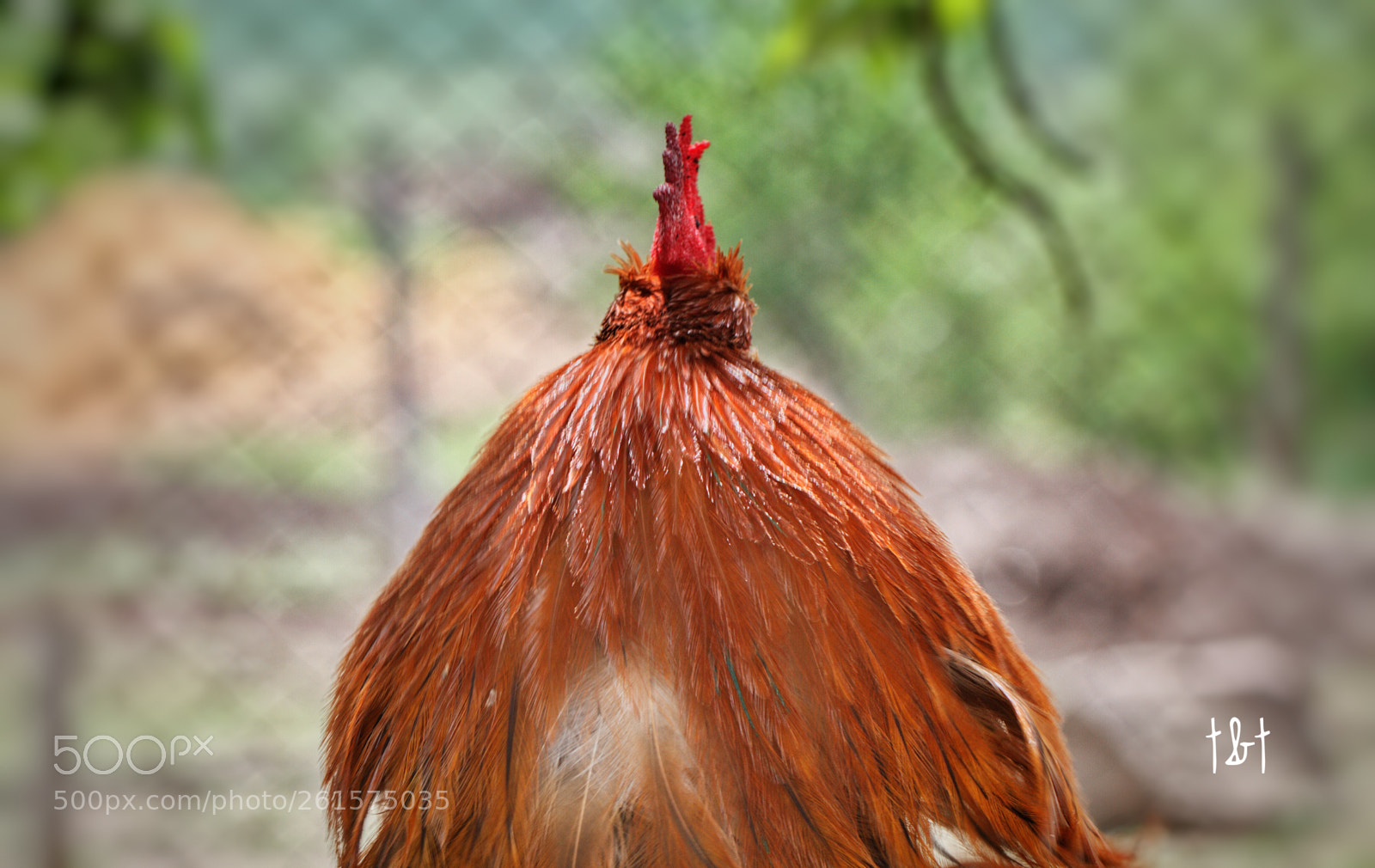 Canon EOS 7D sample photo. Untitled photography